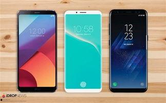 爆料大神郭明池视频